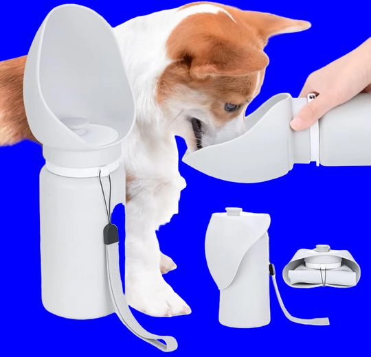 Portable Dog Water Bottle with Foldable Drinking Bowl, 550ml